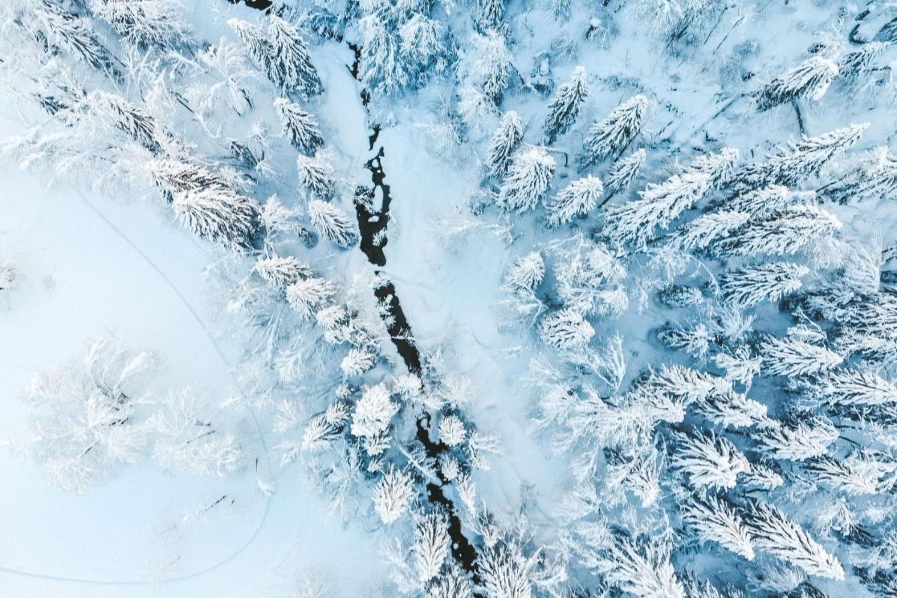 Residence Les Portes Du Soleil - Proprietes Mont Amour 아보리아 외부 사진